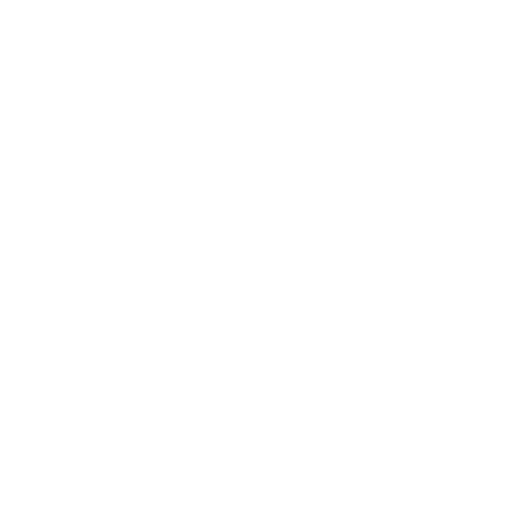 avion