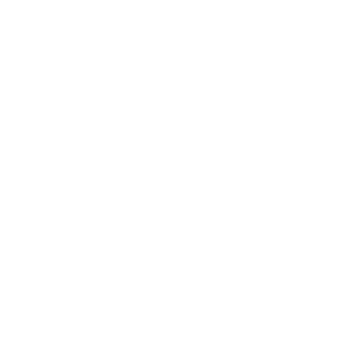 camion