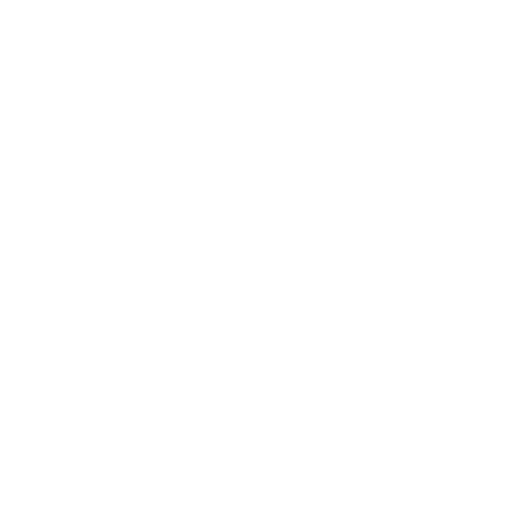 coche